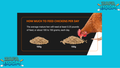 Captura de pantalla 2026 01 19 130908