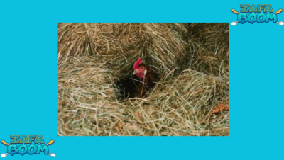 Captura de pantalla 2026 01 19 132159