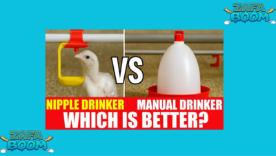 Captura de pantalla 2026 01 19 132333