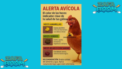 Captura de pantalla 2026 01 19 140546