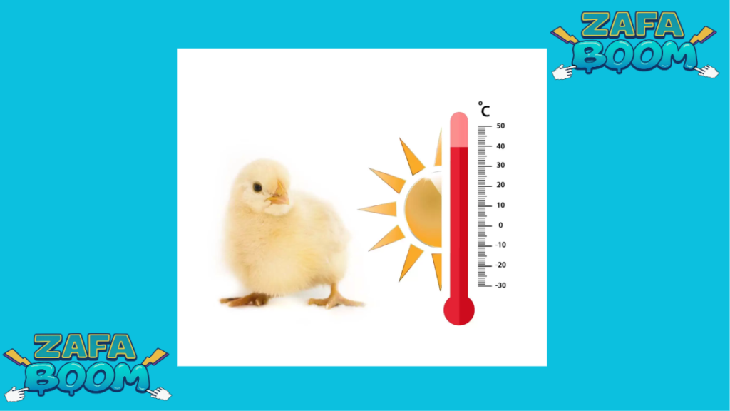 Estrés por calor en gallinas: Cómo evitar golpes de calor y deshidratación en verano 5 Captura de pantalla 2026 01 19 141548