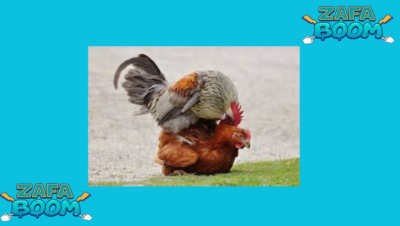 Captura de pantalla 2026 01 19 143131