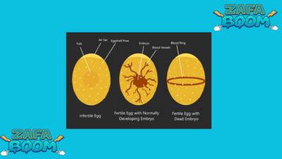 Captura de pantalla 2026 01 19 173159