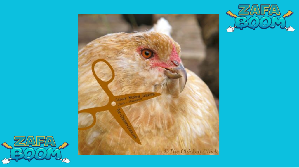 Cómo limpiar defectos genéticos: Eliminando dedos torcidos, picos cruzados y malas crestas 5 Captura de pantalla 2026 01 19 175031