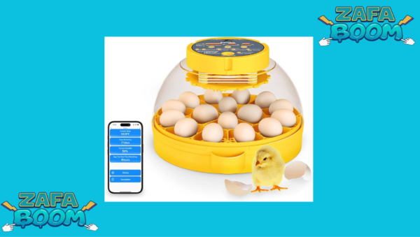 Captura de pantalla 2026 01 19 175718