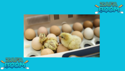 Captura de pantalla 2026 01 19 180253