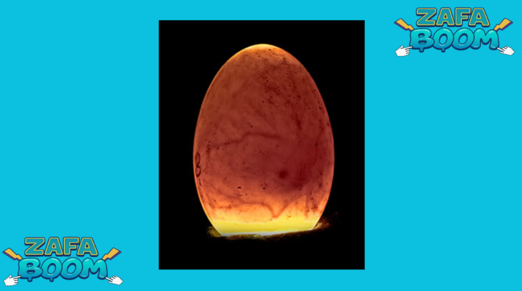 Ventilación y Oxígeno: El error invisible que asfixia a los embriones en la última semana 5 Captura de pantalla 2026 01 19 180854