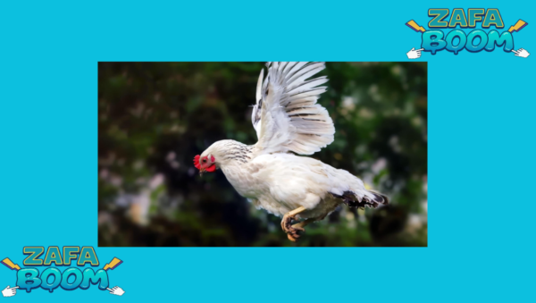 Captura de pantalla 2026 01 19 184100