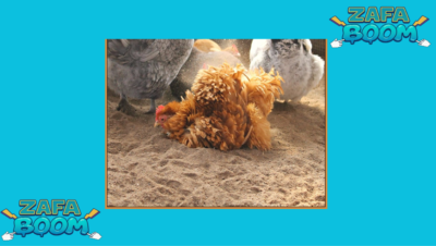 Captura de pantalla 2026 01 19 184435