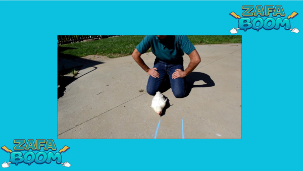 Captura de pantalla 2026 01 19 184541