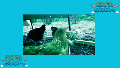 Captura de pantalla 2026 01 19 184658