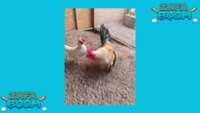 Captura de pantalla 2026 01 19 184846