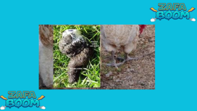 Captura de pantalla 2026 01 19 184955