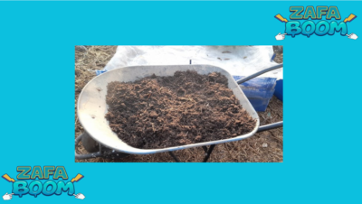 Captura de pantalla 2026 01 22 175725