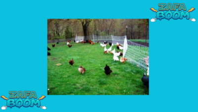 Captura de pantalla 2026 01 23 175443