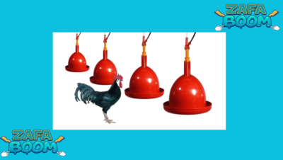 Captura de pantalla 2026 01 24 120035