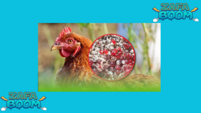 Captura de pantalla 2026 01 25 104938