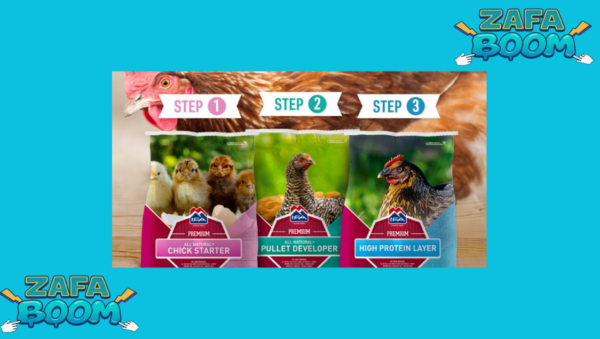 Captura de pantalla 2026 01 26 191501