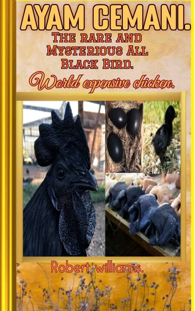Ayam Cemani: El pollo gótico 100% negro (carne, huesos y lengua) más caro del mundo