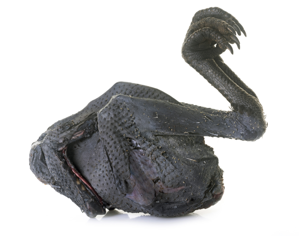 Ayam Cemani: El pollo gótico 100% negro (carne, huesos y lengua) más caro del mundo