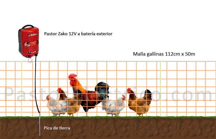 Cómo hacer un cercado eléctrico para gallinas