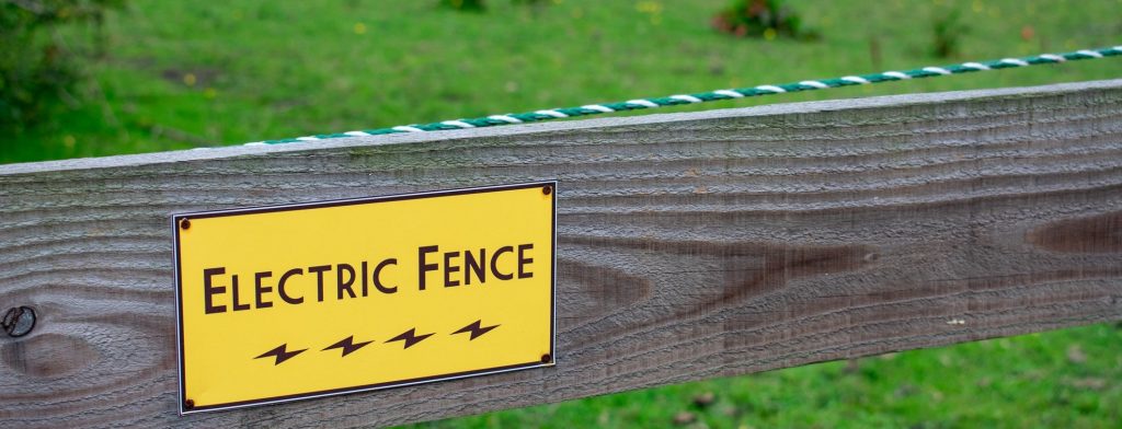 Cercas eléctricas para pájaros: seguridad y eficacia para mantenerlas dentro