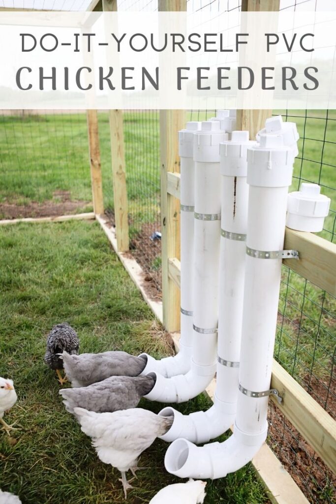 Comederos automáticos de PVC: Cómo hacer uno casero que evite el desperdicio de comida