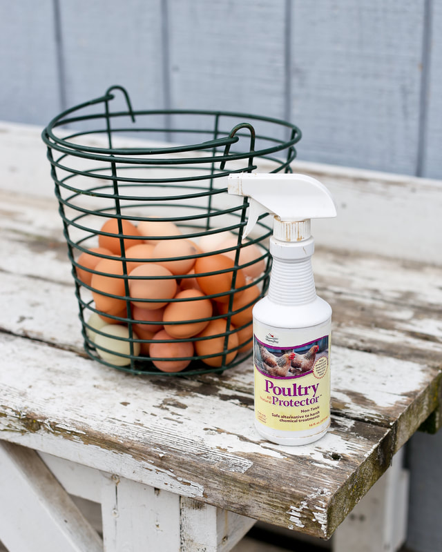 Cómo eliminar los ácaros rojos y los piojos del gallinero de forma eficaz