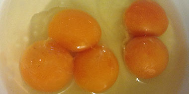 La mancha blanca en la yema: Cómo distinguir un huevo fértil al romperlo (Blastodermo vs Blastodiscus)