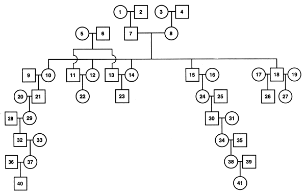 Consanguinidad: cómo corregir rasgos sin los peligros de la endogamia extrema