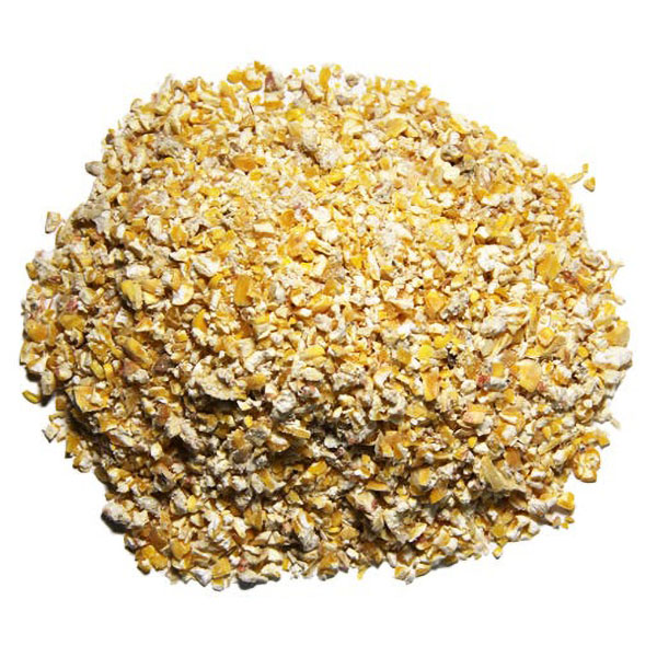 Maíz para gallinas: ¿Es mejor dárselo entero, partido o molido?