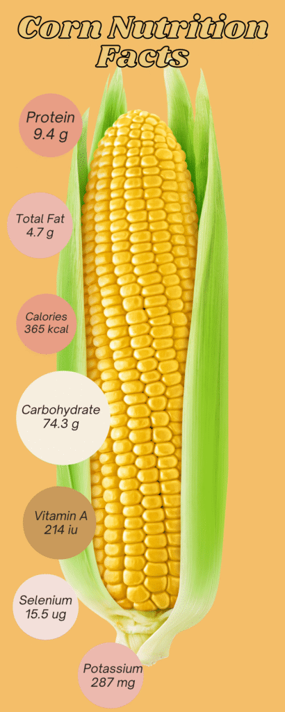 Maíz para gallinas: ¿Es mejor dárselo entero, partido o molido?