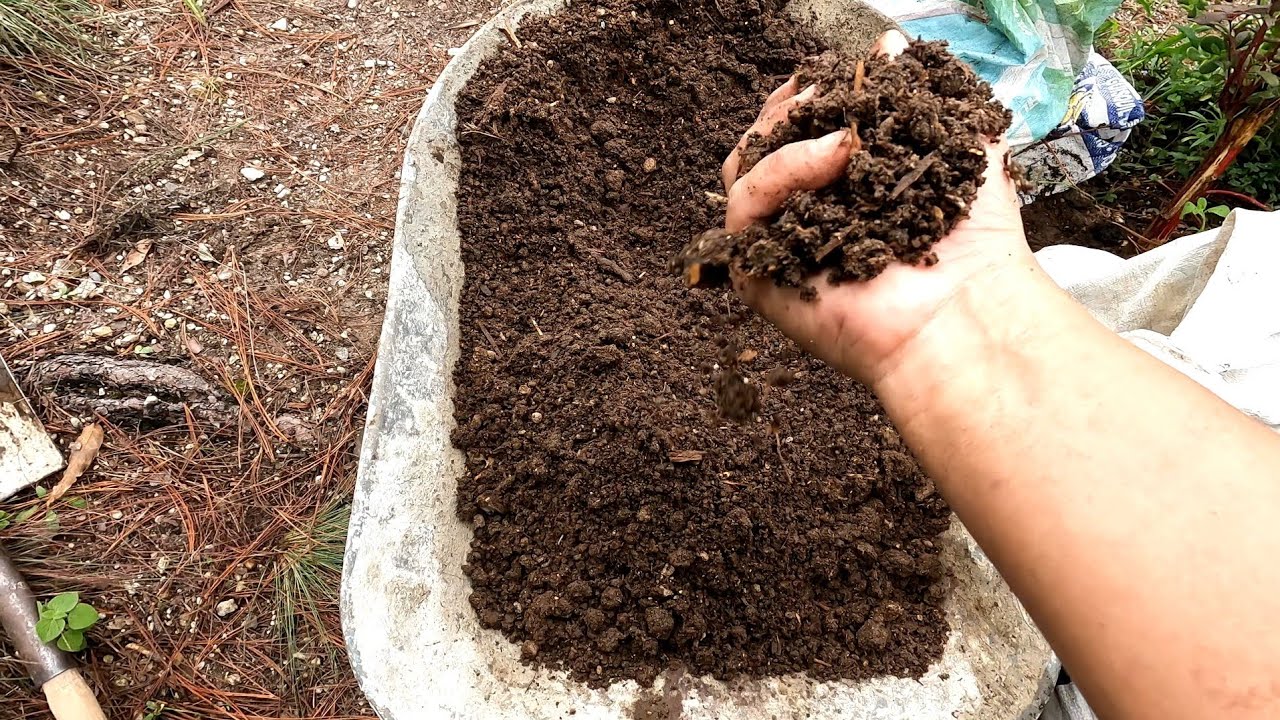 Mi forma de Procesar y Usar Gallinaza Casera - YouTube