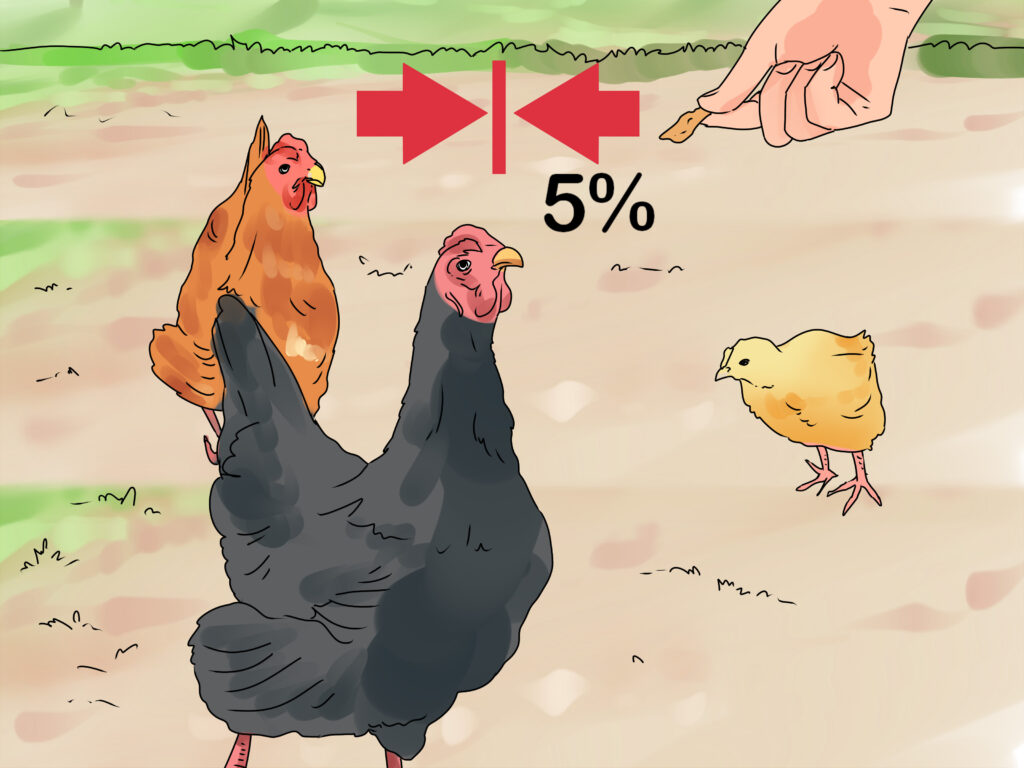 Parásitos internos en pollos (gusanos): Síntomas y calendario de desparasitación