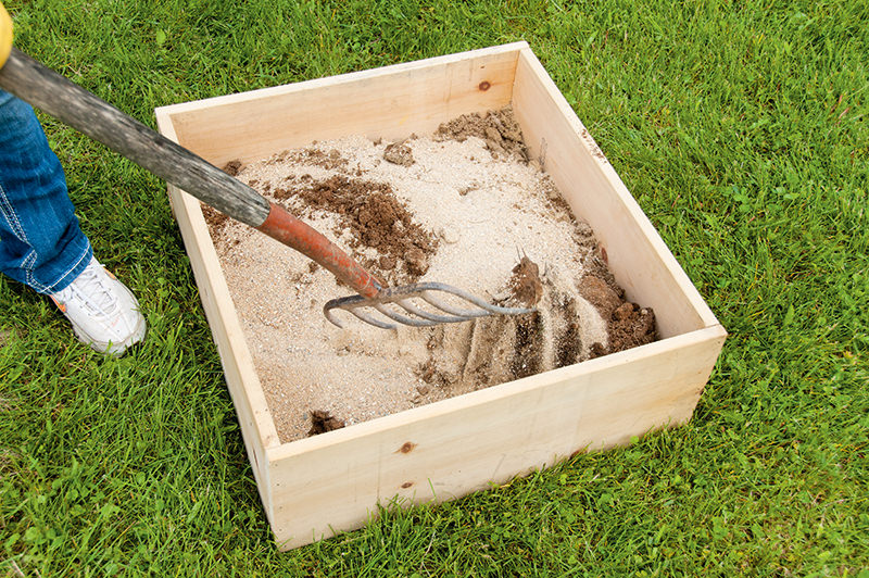 ¿Por qué las gallinas se bañan en tierra? La razón higiénica detrás de este comportamiento 7 ¿Por qué las gallinas se bañan en tierra?