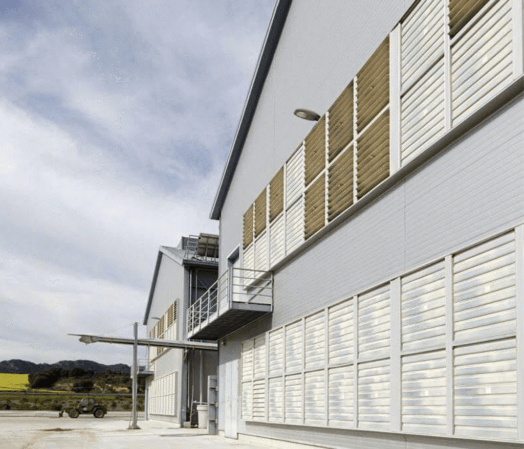 Ventilación del gallinero: cómo evitar el exceso de amoníaco sin enfriar a las aves: estrategias clave