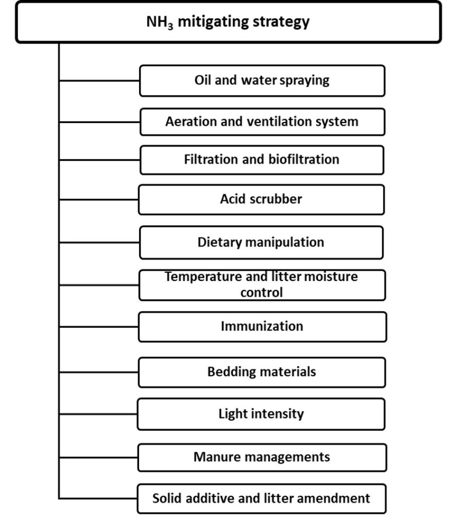 Ventilación del gallinero: cómo evitar el exceso de amoníaco sin enfriar a las aves: estrategias clave