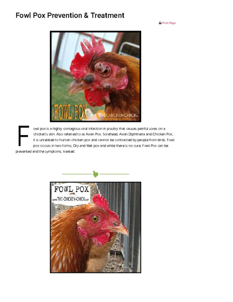 Viruela Aviar: ¿Cuáles son sus cuidados de apoyo y cómo evitar la infección?